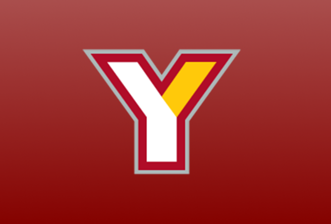 y image graphic