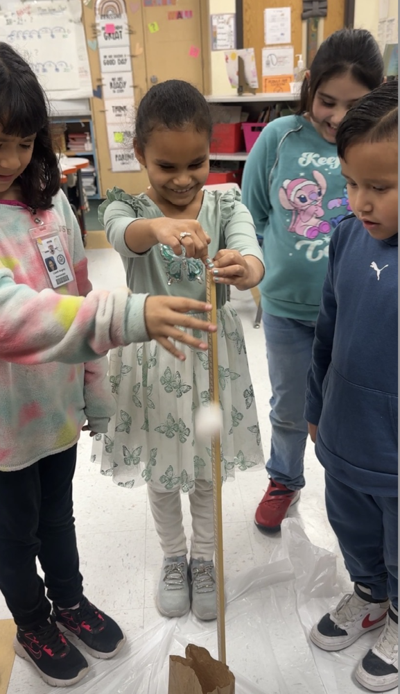 Egg Drop STEM project