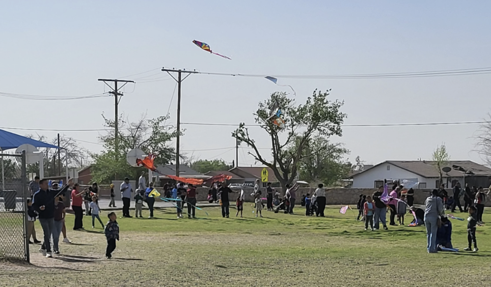 students flying kites