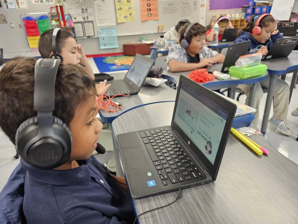 3rd graders working on the Amira program on their computers