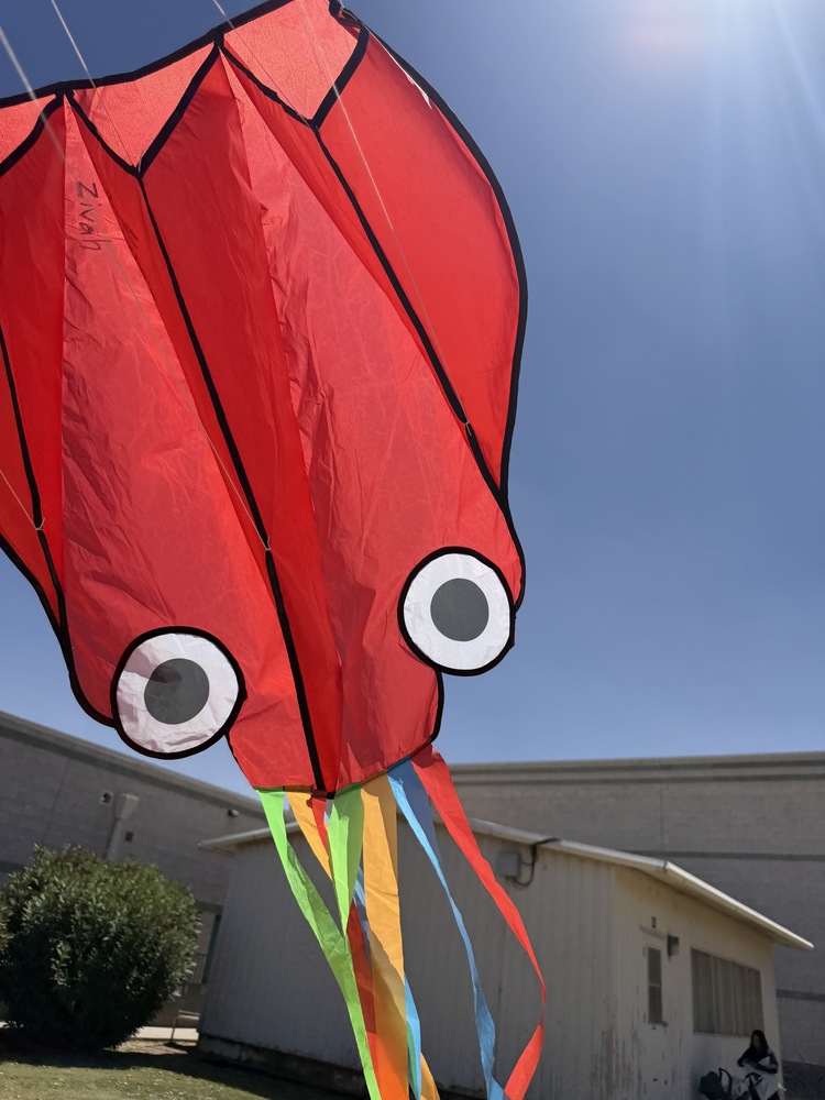 KITE DAY