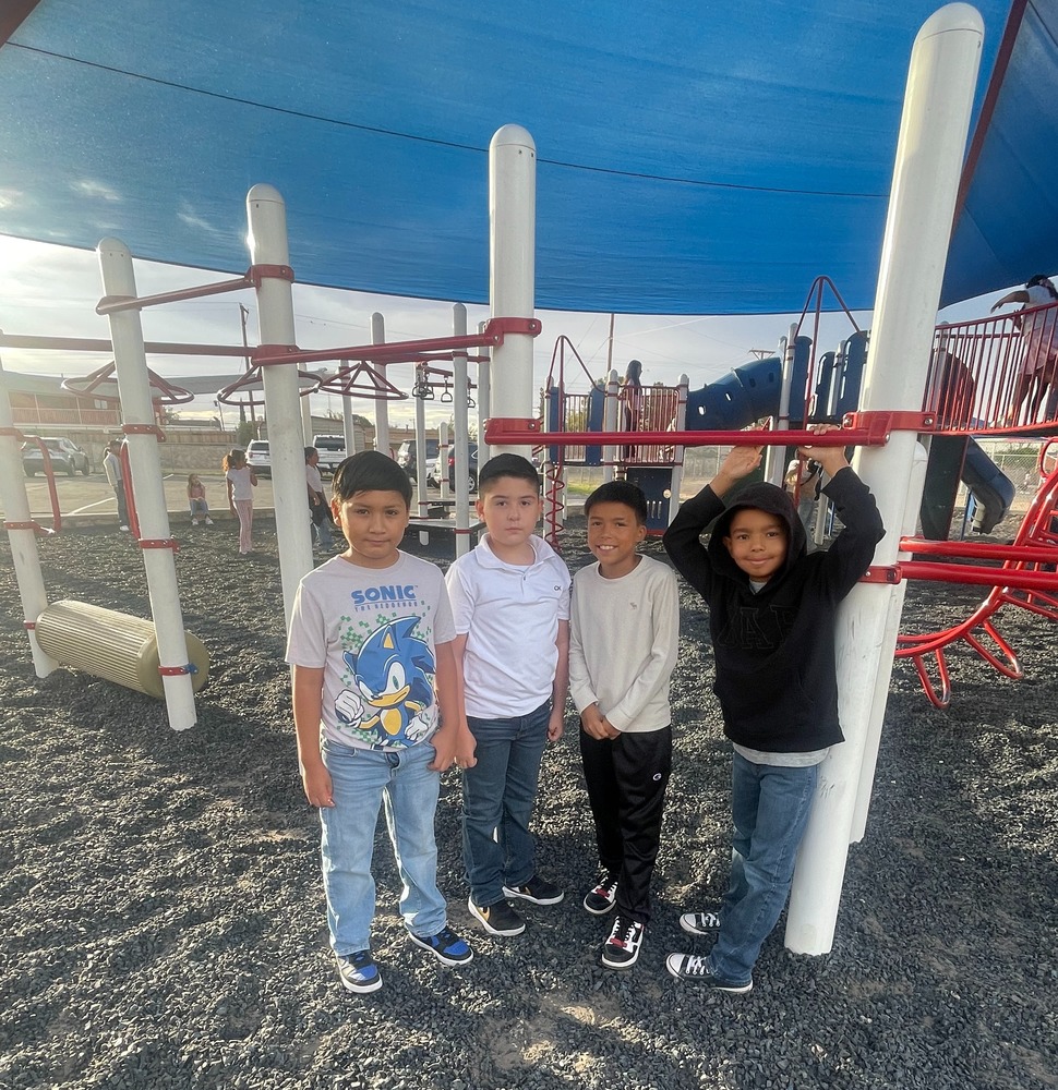 Students playing in the jungle gym