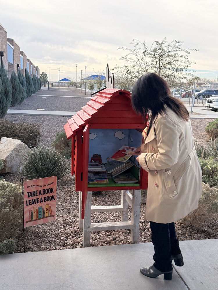 adult placing book in lending library
