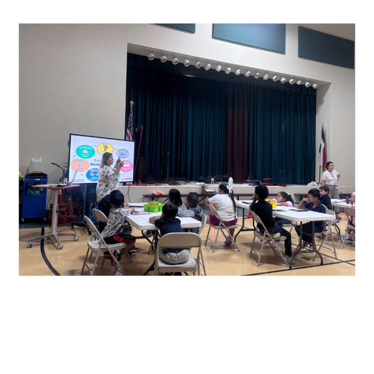 STEM 2nd GRADE