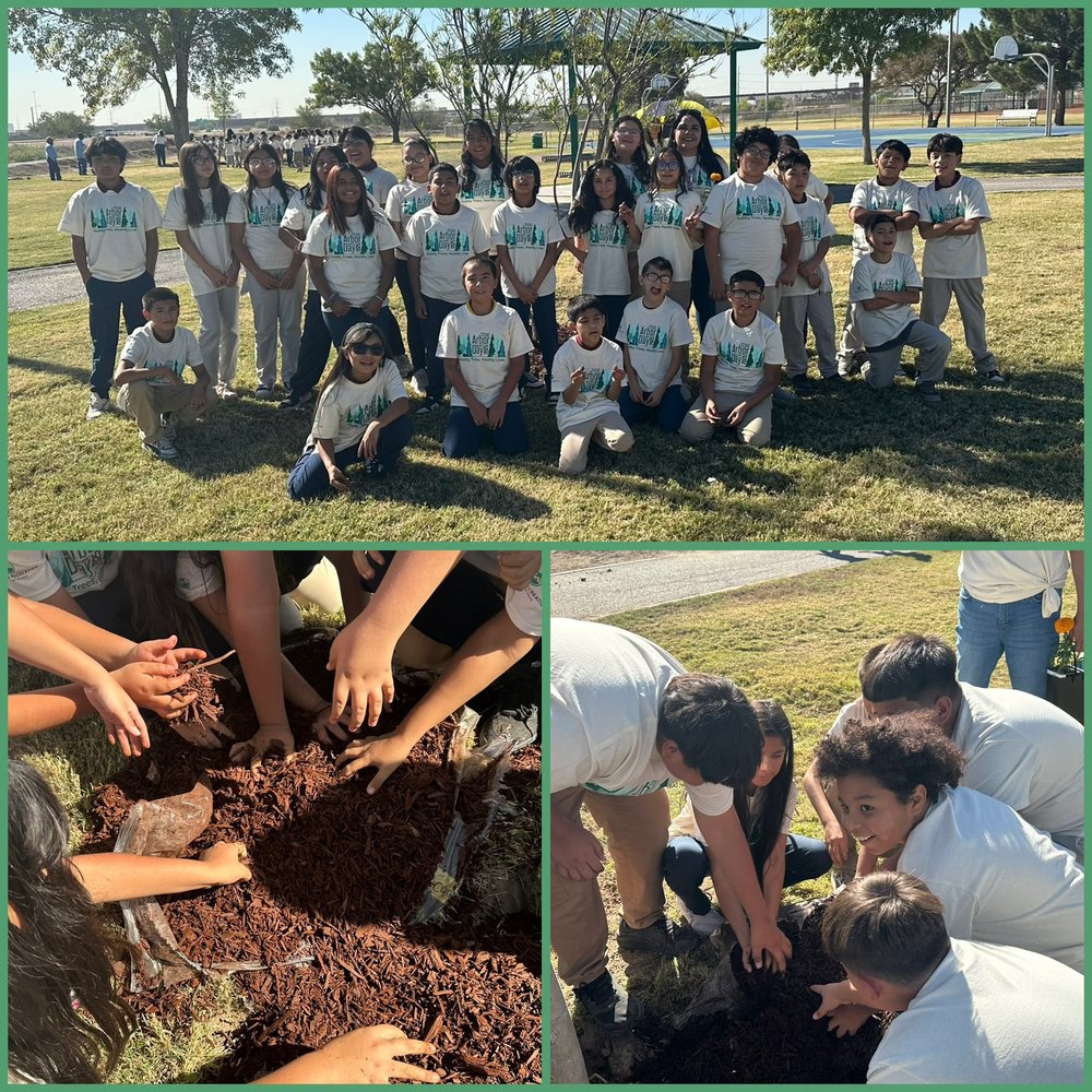 students planting trees at park