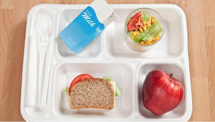 A lunch tray with a sandwich, apple, veggies, and milk. 