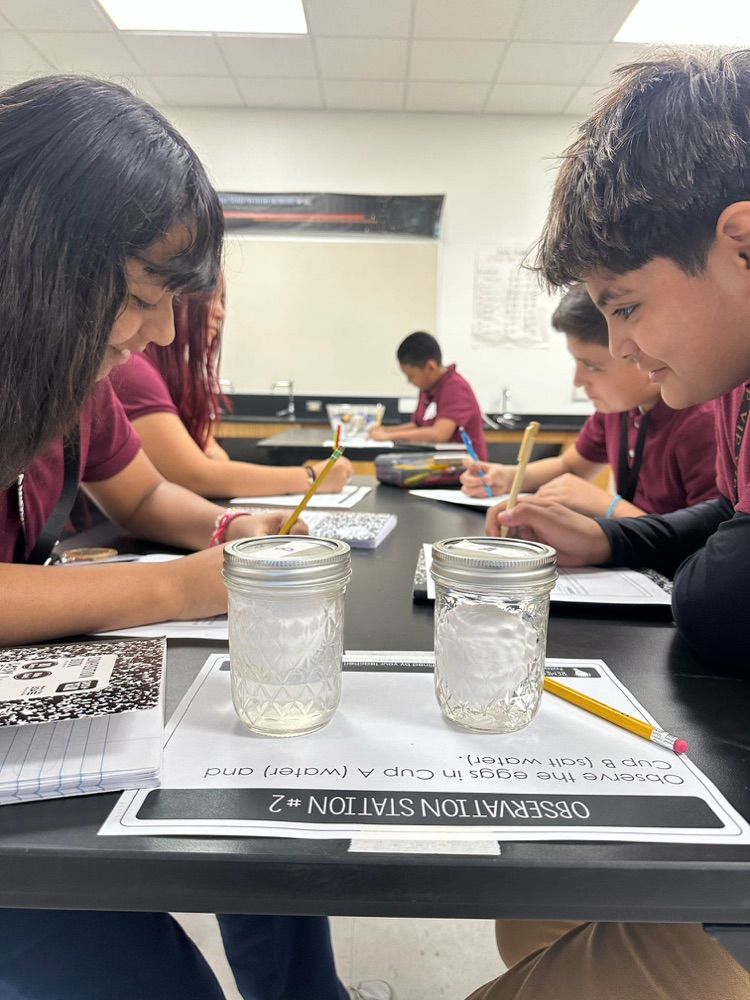 students explore density