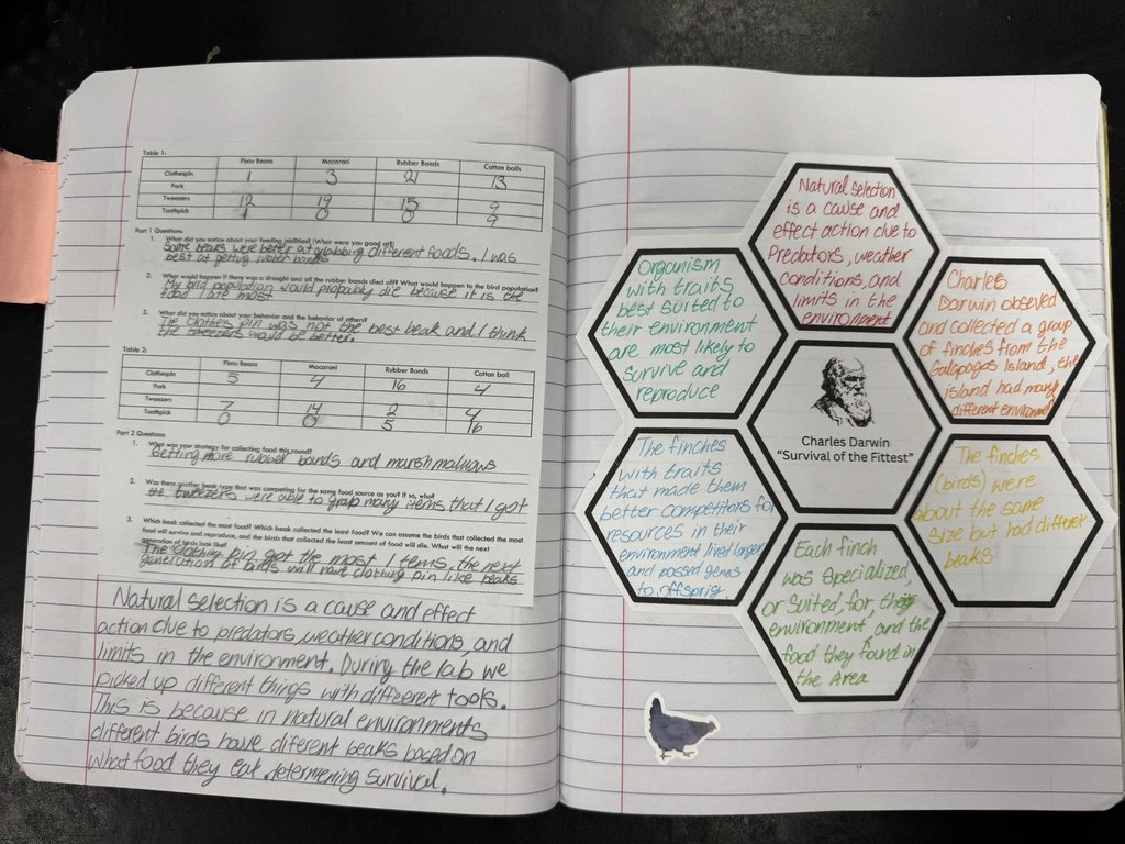 Notes for the 8th grade Science class experiment.