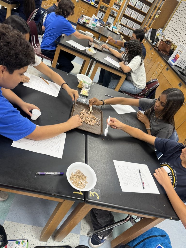 Picture of EKIS 8th graders during a Science class experiment.