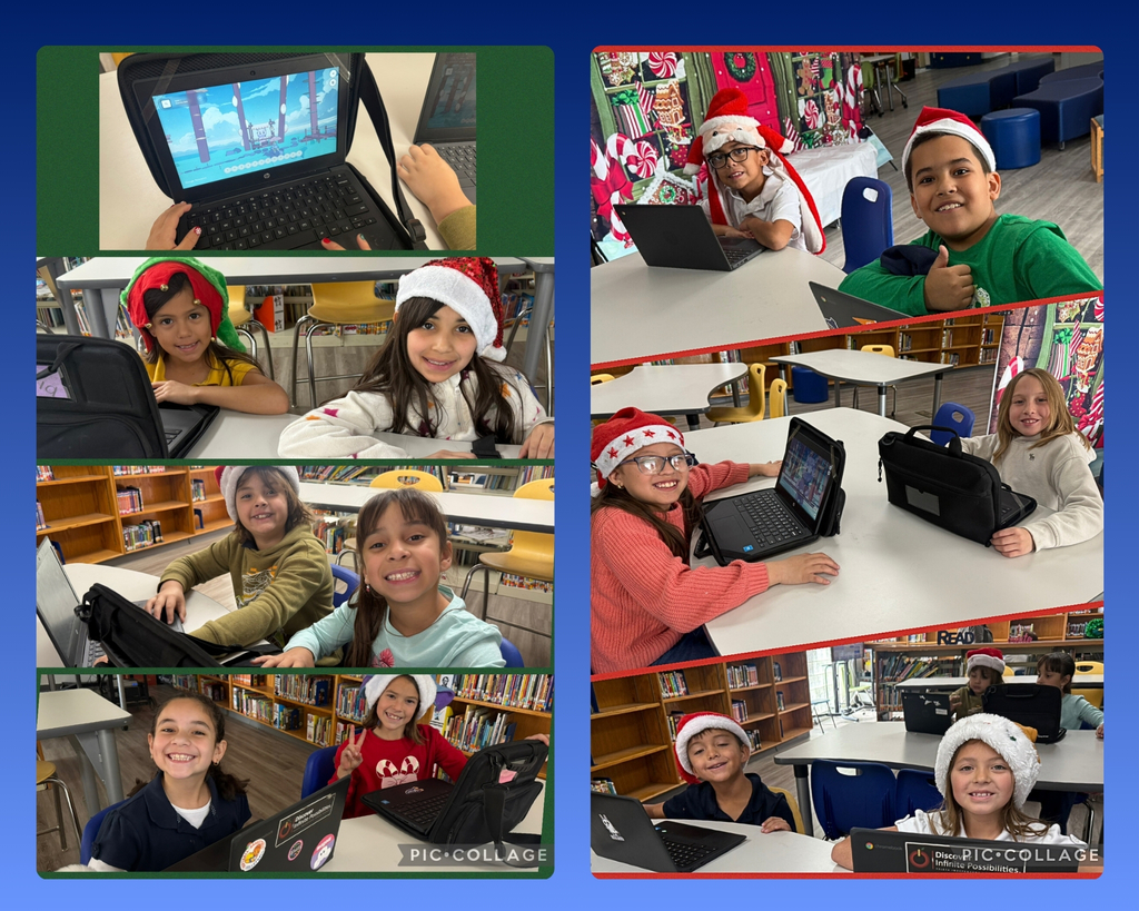 Elementary students coding on their laptops.