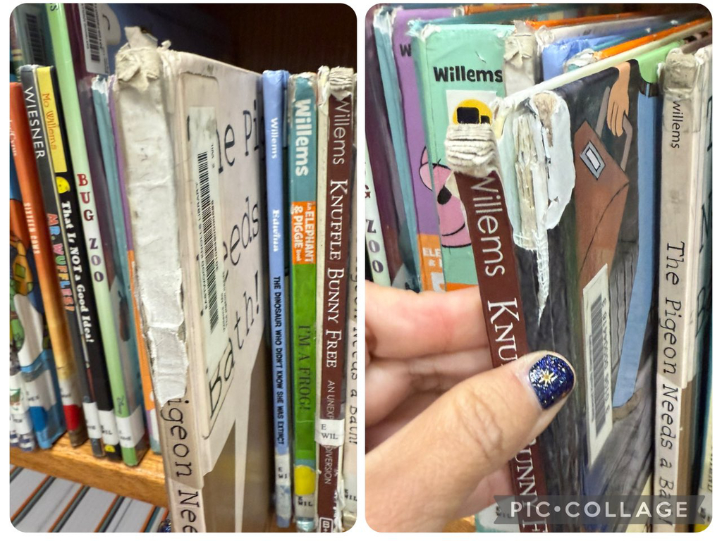 Old very used books at the EKIS library.