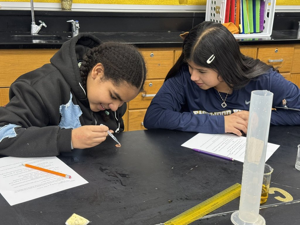 EKIS 8th graders engaged in a science project.