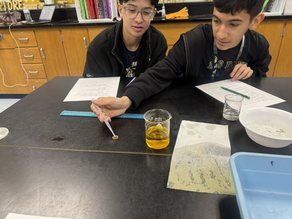 EKIS 8th graders engaged in a science project.