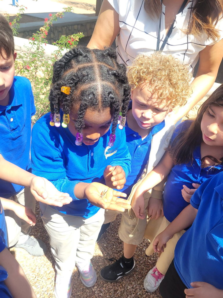 Students gather to see the butterflies they have been observing fly into the air.