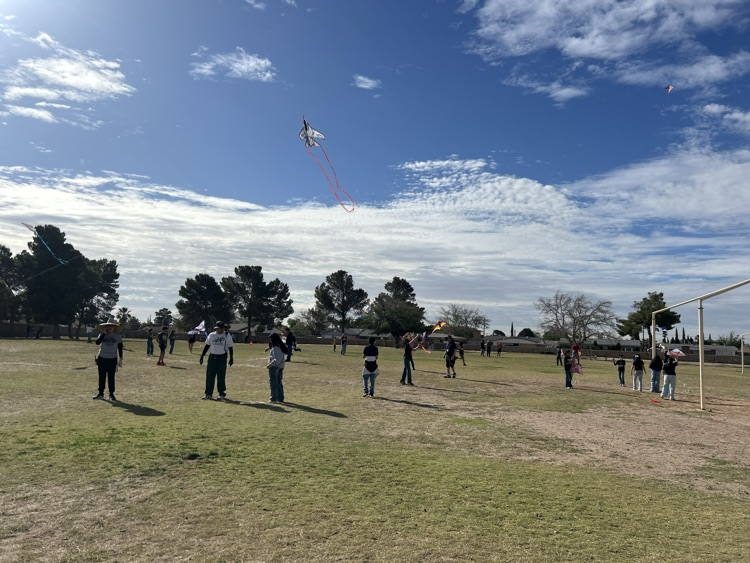 kite day