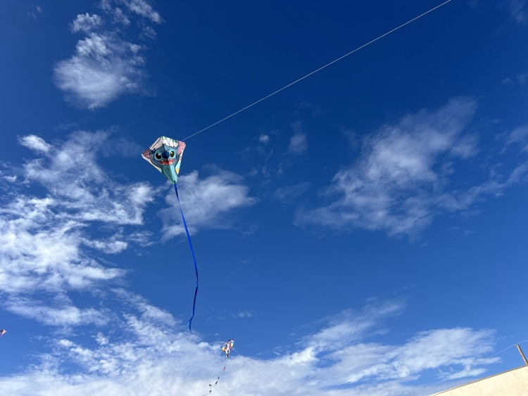 kite day