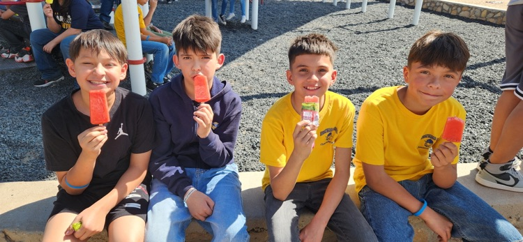 Four boys smiling eating a popsicle on a small rock wall.