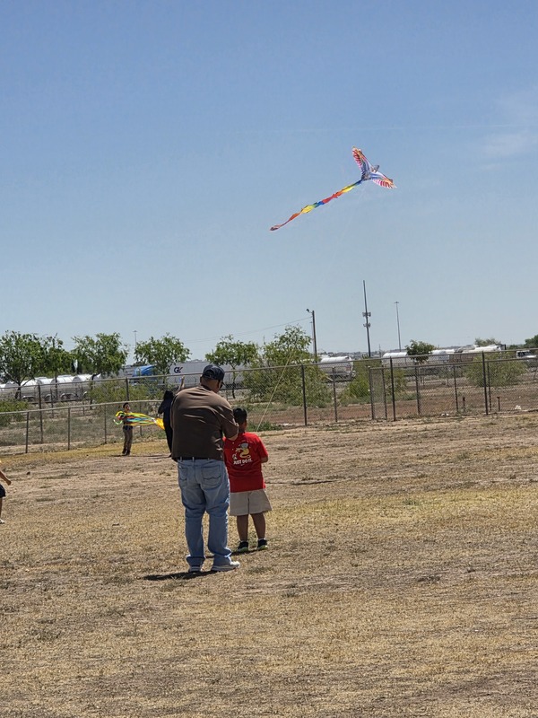 Father and son flying a multi-colored kite