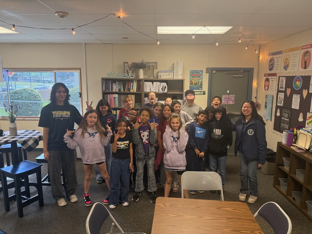 Student Voice at DES