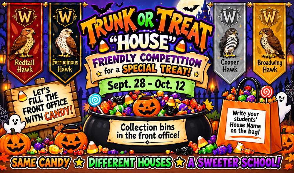candy collection