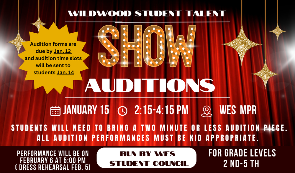 talent show auditions
