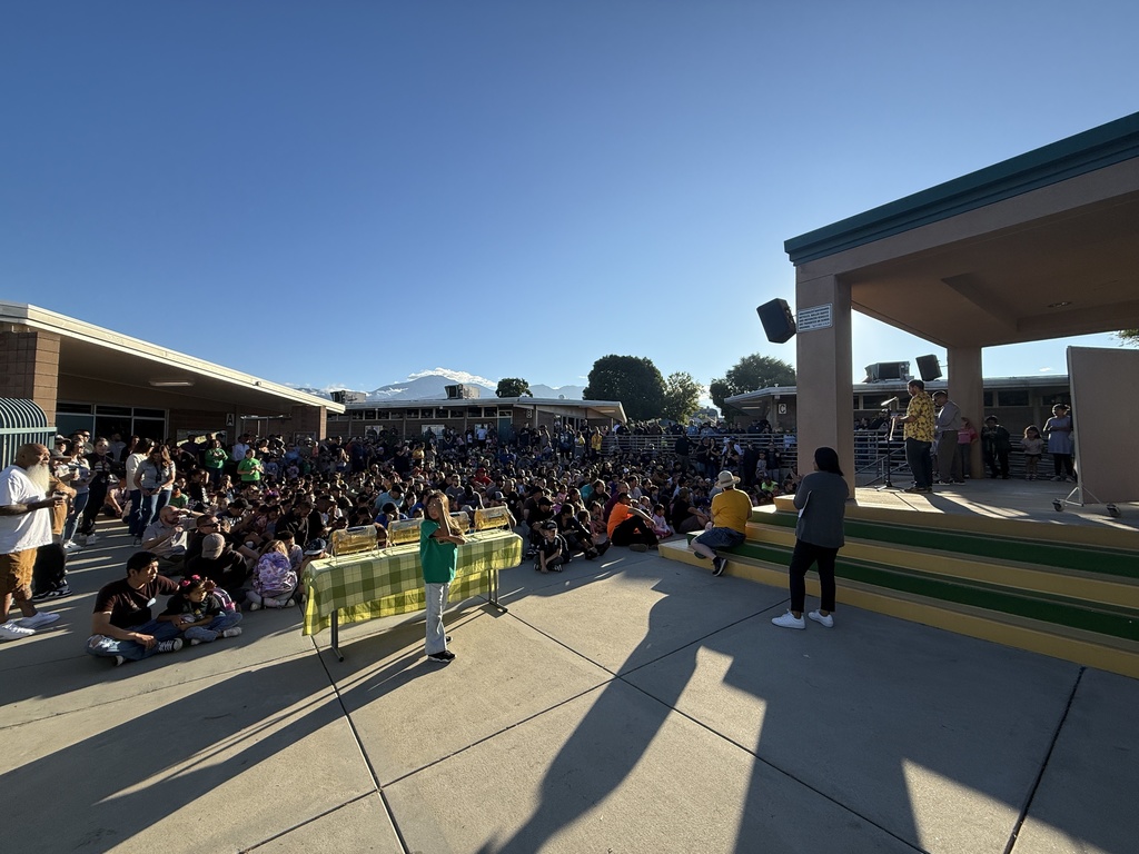 VES Crowd