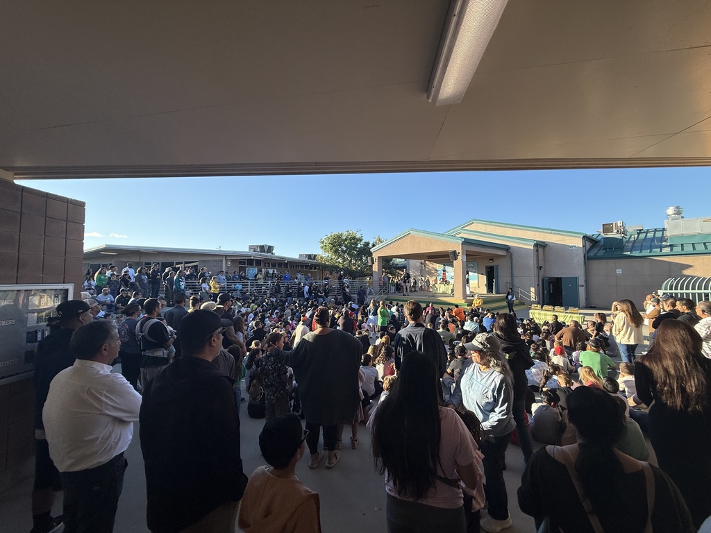 VES Crowd