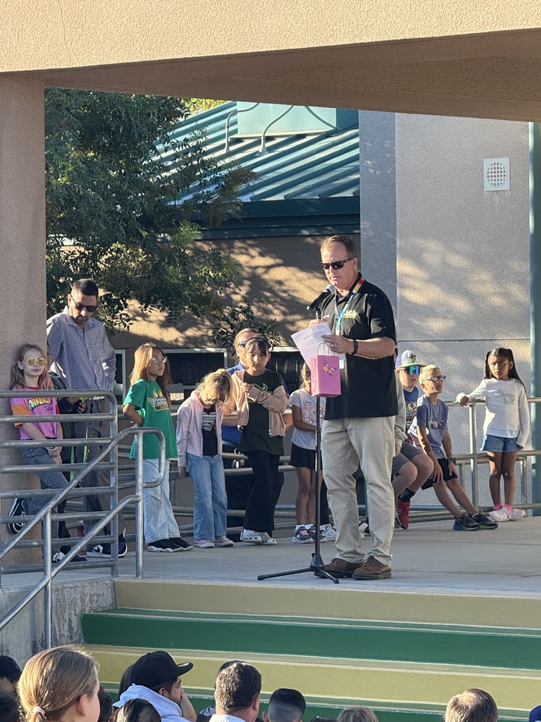 Principal Rekstad