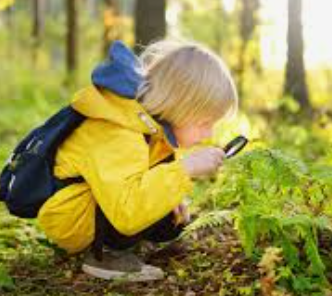 Outdoor learning