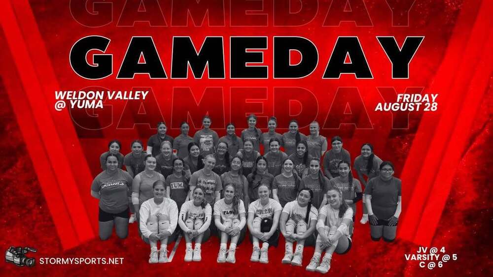 Volleyball Game day poster Weldon Valley