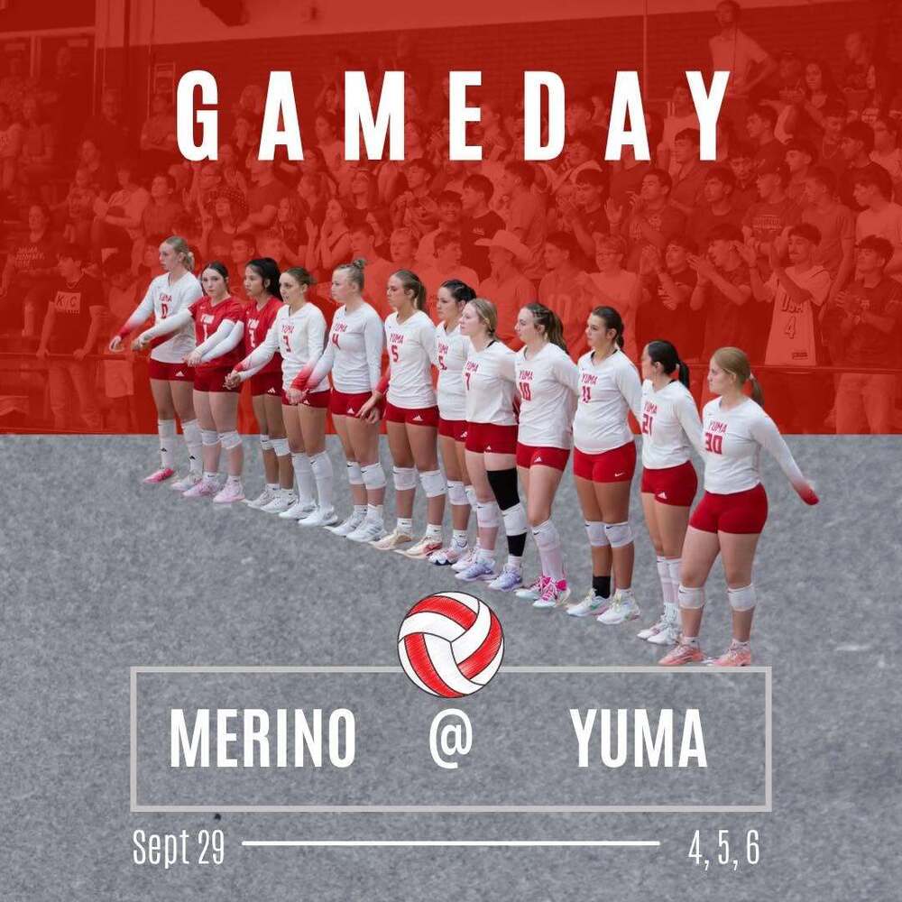Volleyball vs Merino graphic