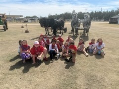 Old Threshers