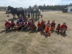 Old Threshers