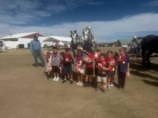 Old Threshers