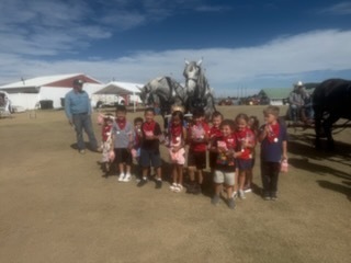 Old Threshers