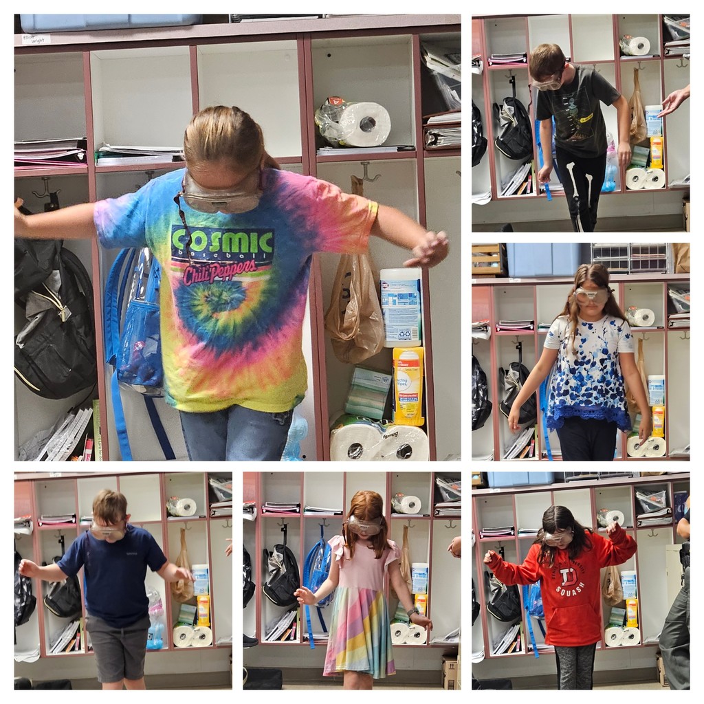 impaired vision goggles