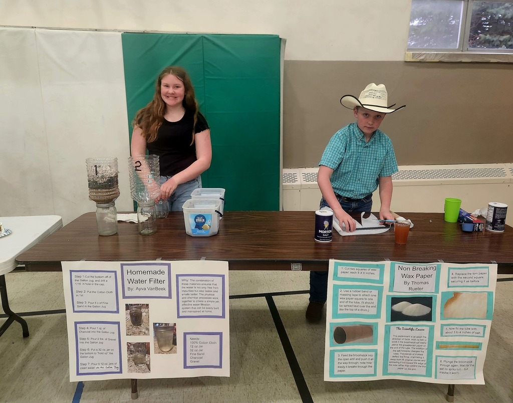 5/6th Science Fair Projects