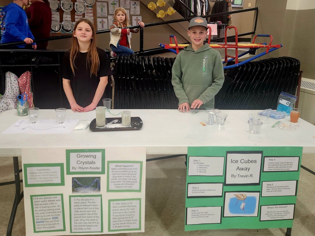 5/6th Science Fair Projects