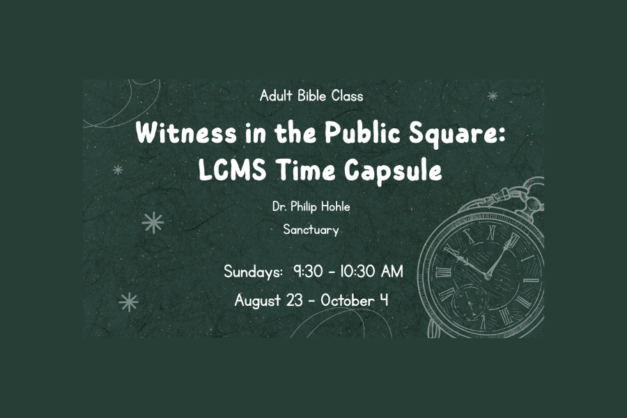 witness