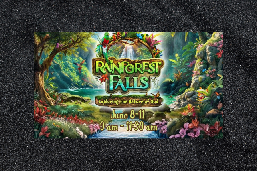 rainforest
