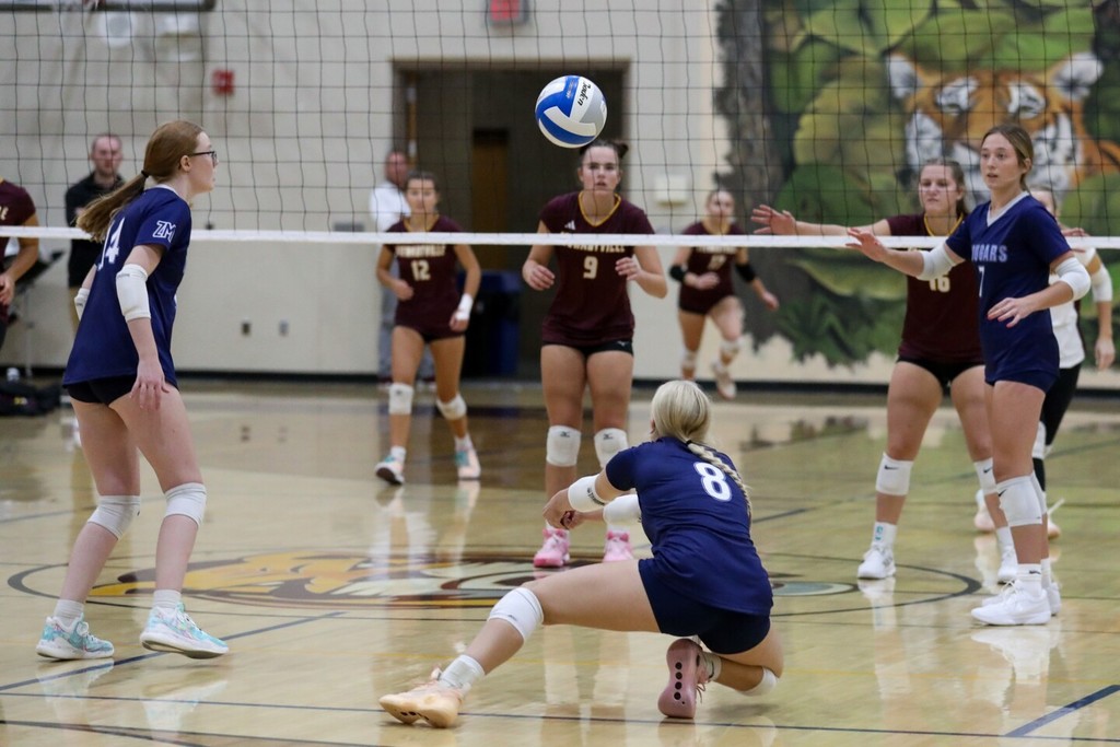 volleyball